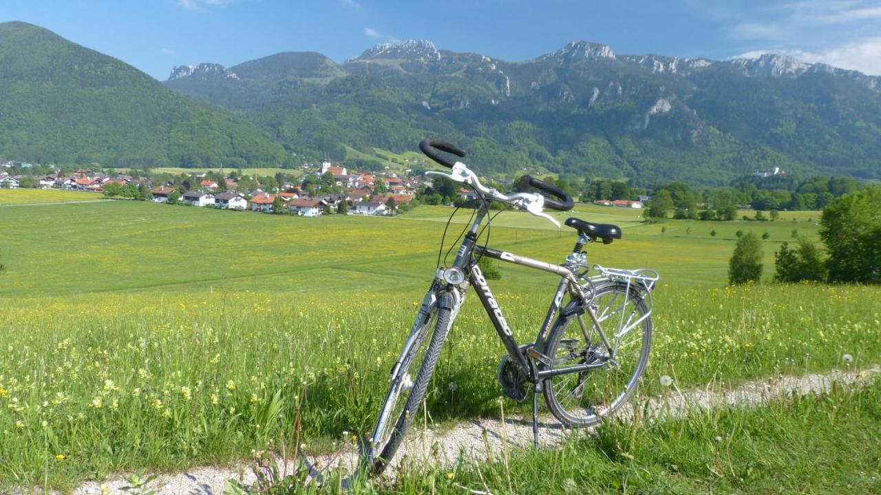 Wirtshaus Zum Baumbach Hotel Aschau im Chiemgau Buitenkant foto